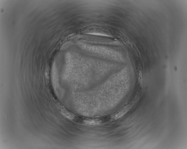 X0000080810561200701051153