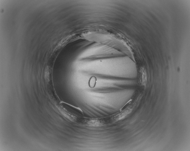 X0000080810562200701051153