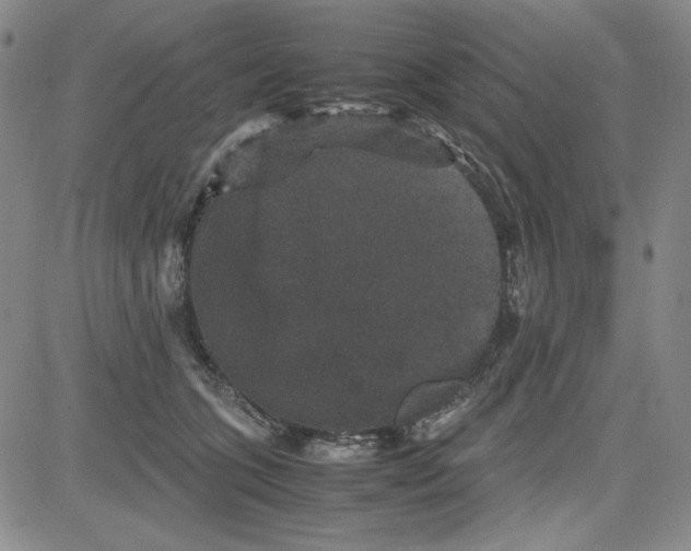 X0000080810563200701051153