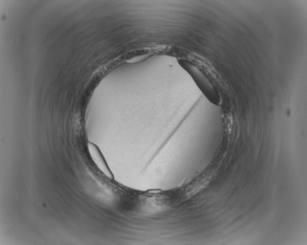 X0000080810564200701051153