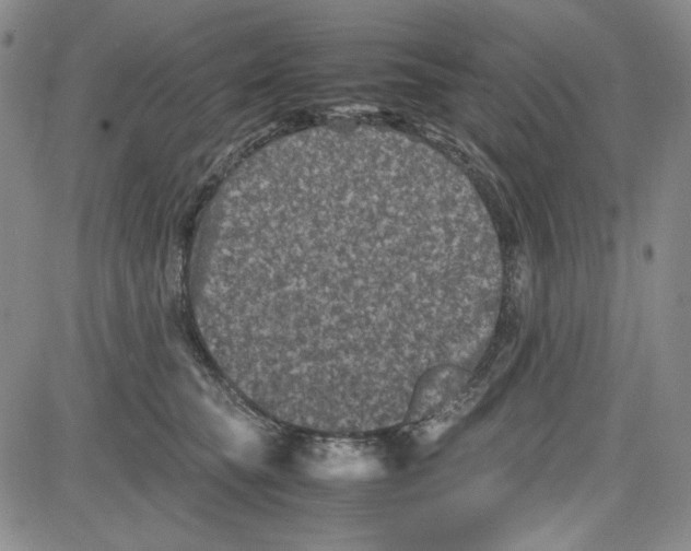 X0000080810565200701051153