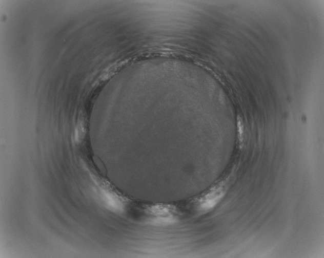 X0000080810566200701051153