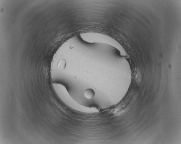 X0000080810568200701051153