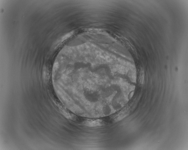 X0000080810569200701051153