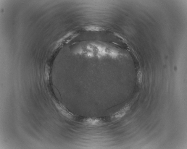 X0000080810570200701051153