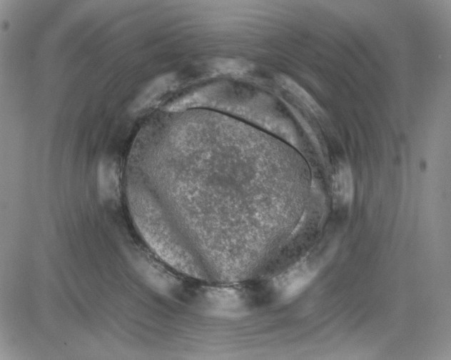 X0000080810572200701051153