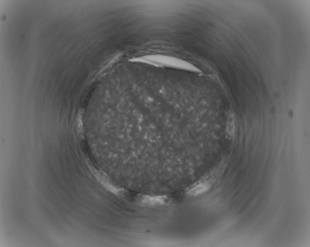 X0000080810573200701051153