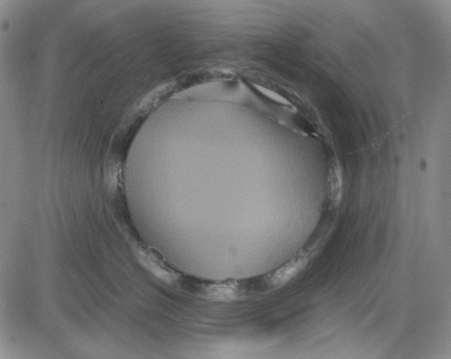 X0000080810574200701051153