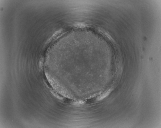 X0000080810576200701051153