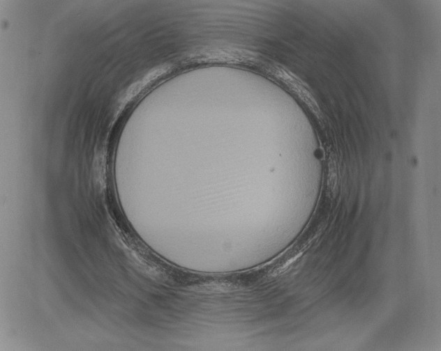 X0000080810578200701051152