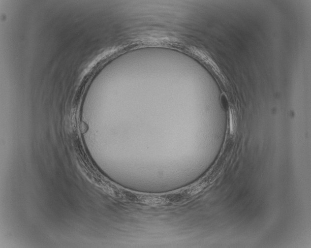 X0000080810579200701051152