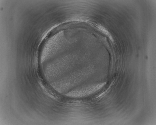 X0000080810580200701051152