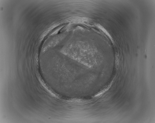 X0000080810581200701051152