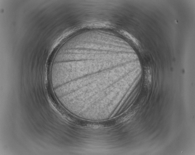 X0000080810582200701051152