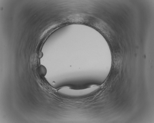 X0000080810583200701051152