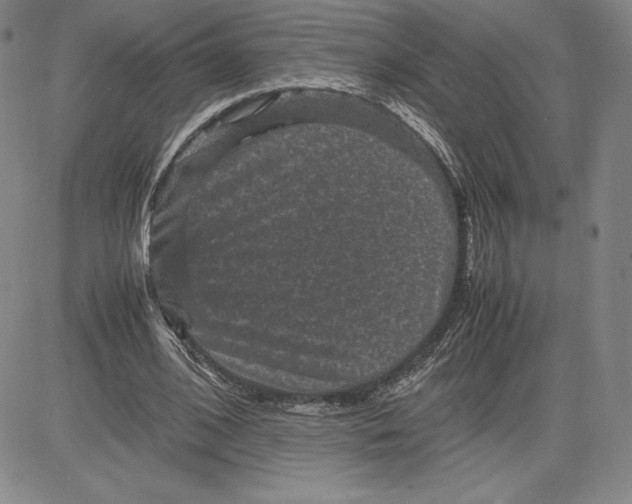 X0000080810584200701051152