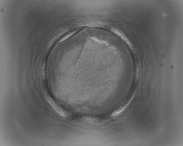 X0000080810585200701051152