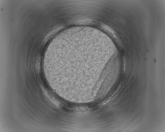 X0000080810586200701051152