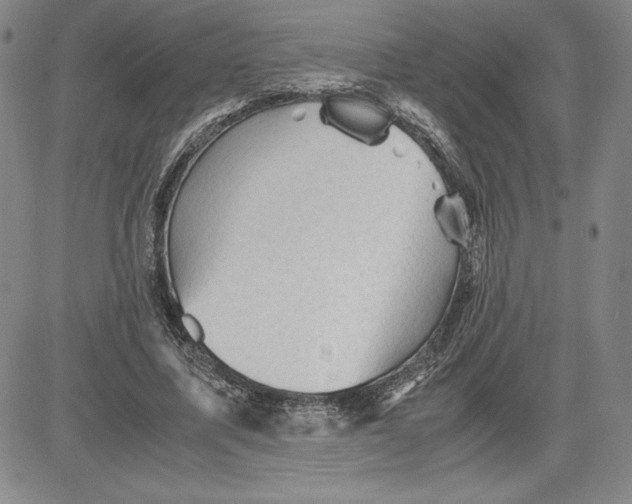 X0000080810587200701051152