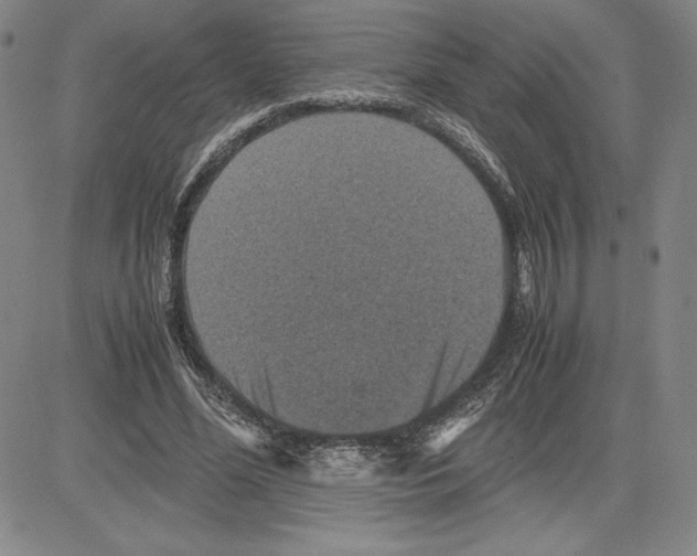 X0000080810588200701051152