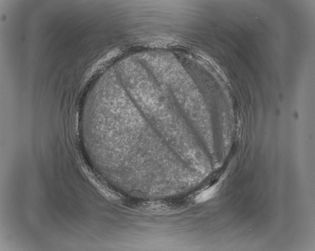 X0000080810589200701051152