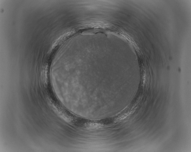 X0000080810590200701051152