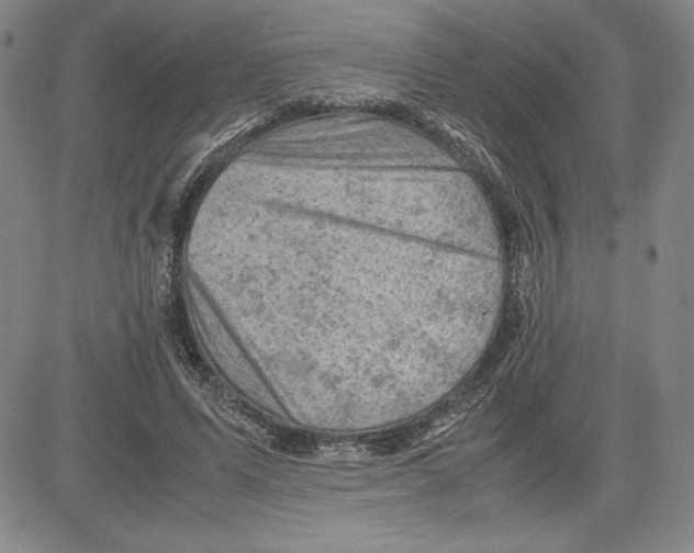 X0000080810591200701051152