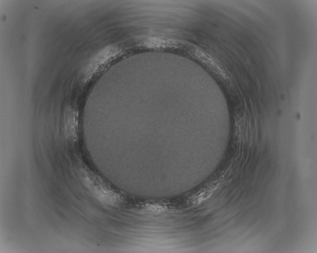 X0000080810592200701051152