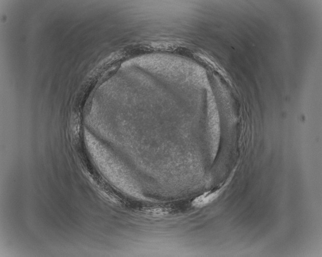 X0000080810593200701051152