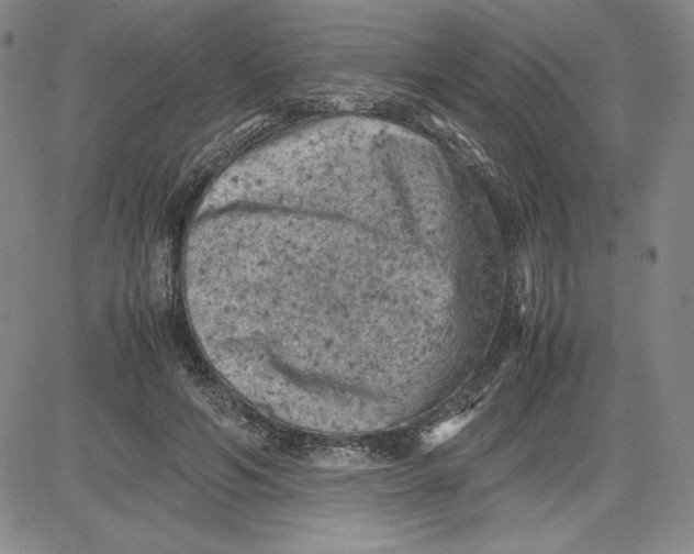 X0000080810594200701051152