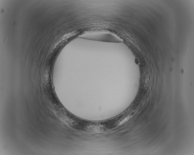 X0000080810595200701051152