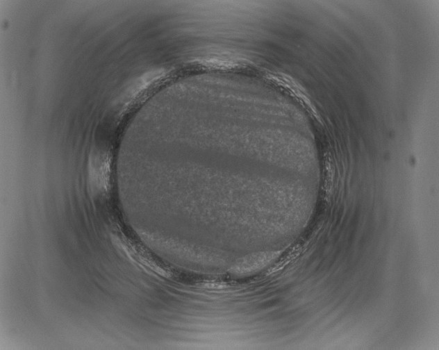 X0000080810596200701051152