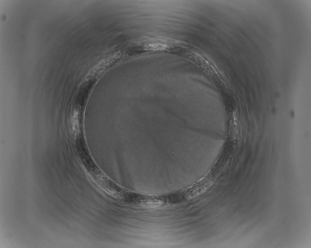 X0000080810598200701051152