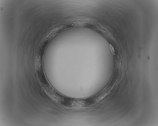 X0000080810599200701051152