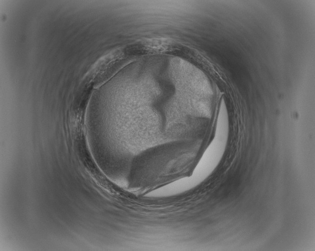 X0000080810601200701051152