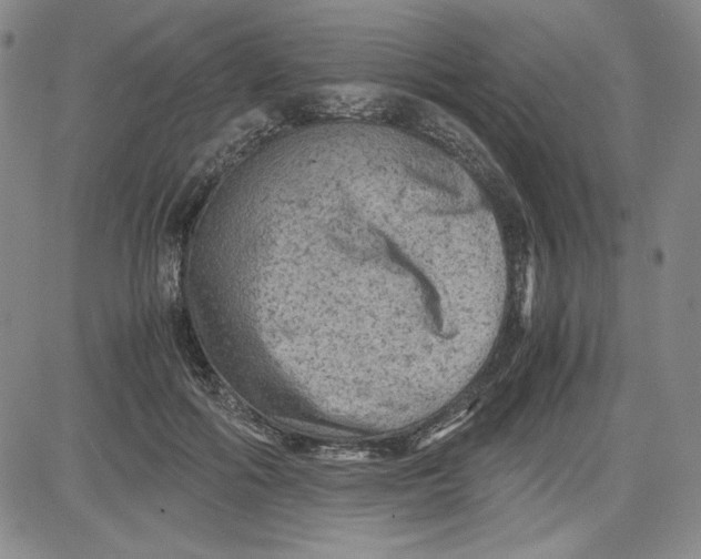 X0000080810602200701051152