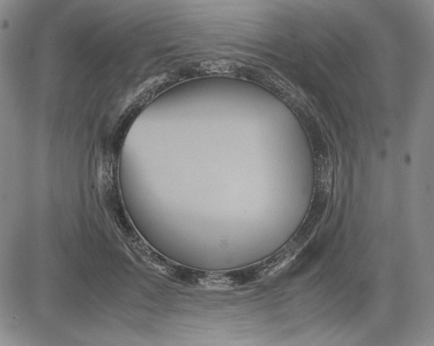 X0000080810603200701051152