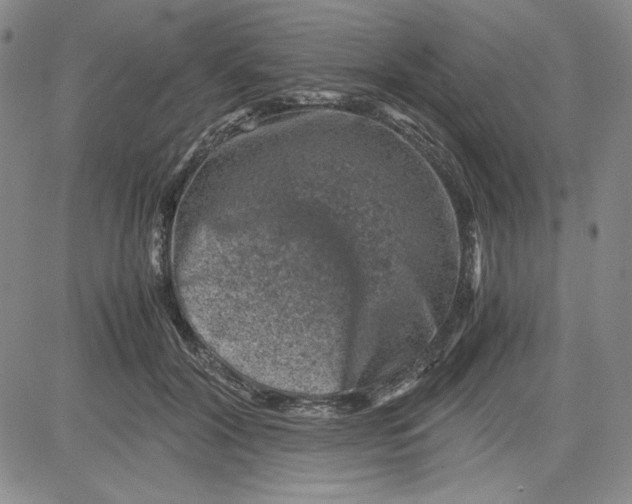 X0000080810604200701051152