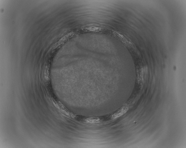 X0000080810606200701051152