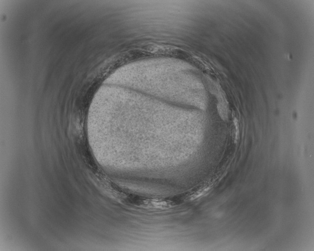 X0000080810607200701051152