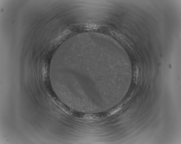 X0000080810608200701051152