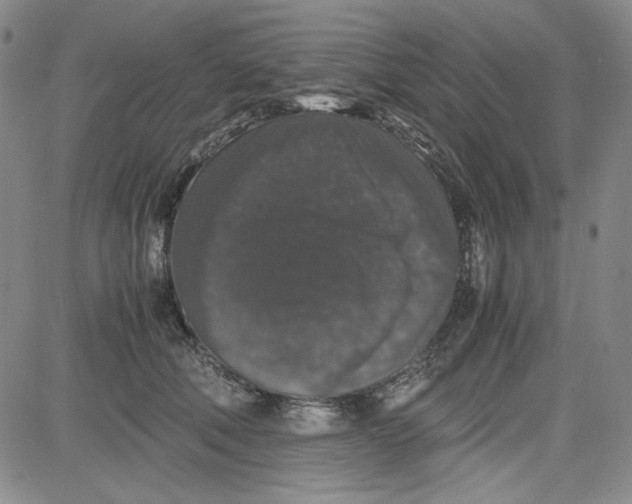 X0000080810610200701051152