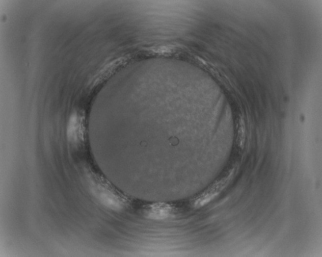 X0000080810612200701051152