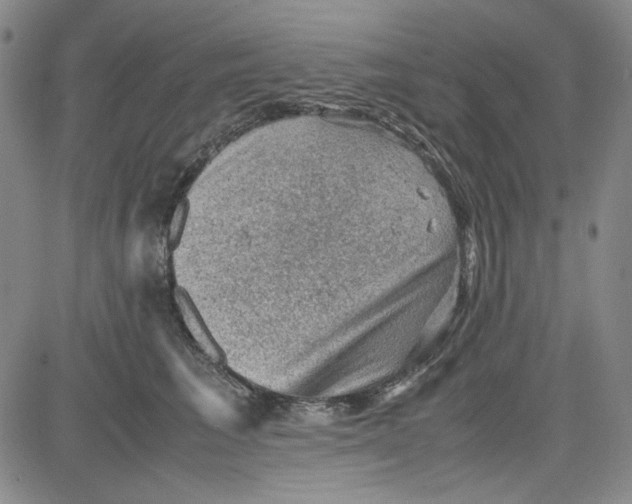 X0000080810613200701051152