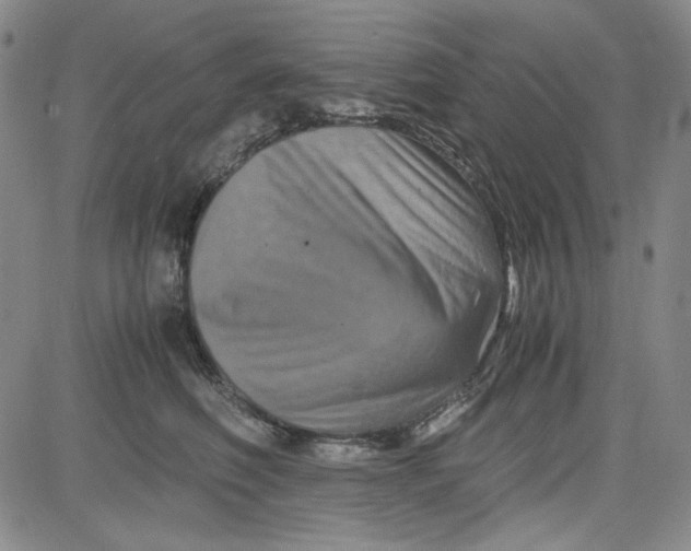 X0000080810614200701051152