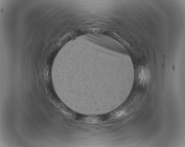 X0000080810615200701051152