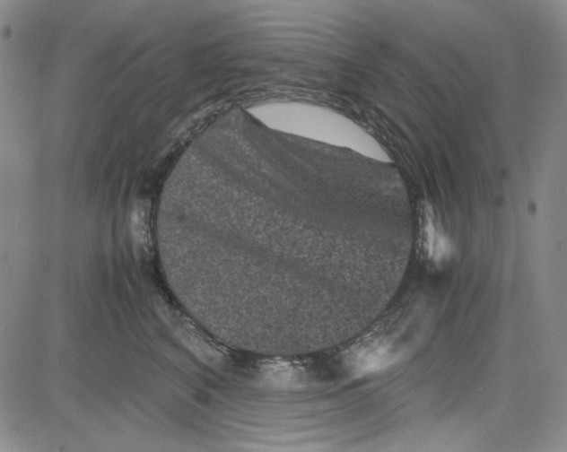 X0000080810616200701051152