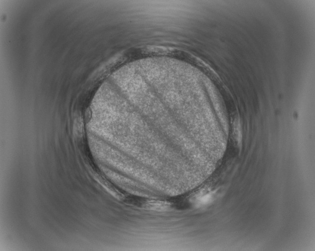 X0000080810617200701051152