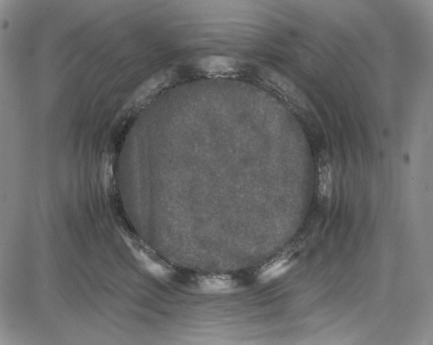 X0000080810618200701051152