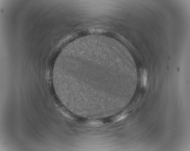 X0000080810619200701051152